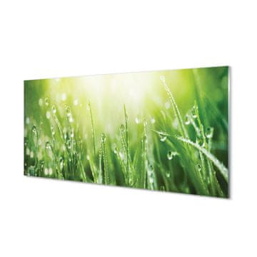 tulup.si Zidna obloga za kuhinju Grass sonce kapljice