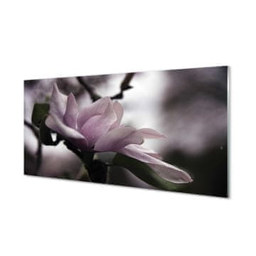 tulup.si Slika na akrilnem steklu Magnolia 4 obešalnika
