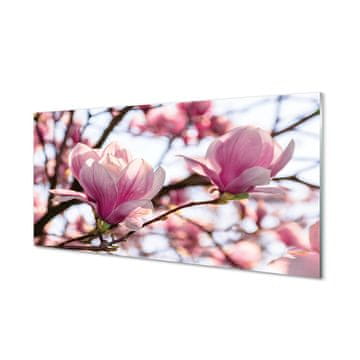 tulup.si Slika na akrilnem steklu Magnolija drevo 4 obešalnika