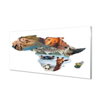 tulup.si Slika na akrilnem steklu Zebra žirafa tiger 4 obešalnika