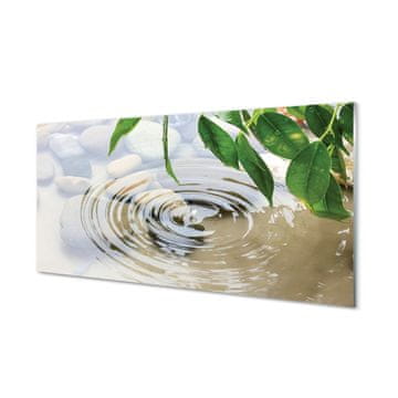 tulup.si Slika na steklu Water drop splash 2 obešalnika