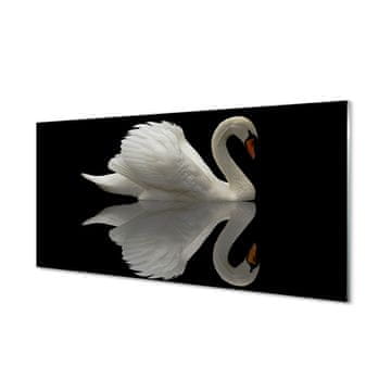 tulup.si Stenska plošča za kuhinjo Swan v noči