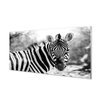 tulup.si Slika na akrilnem steklu Retro zebra 2 obešalnika