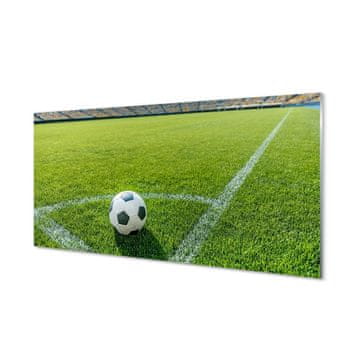 tulup.si Slika na steklu Nogometni stadion trava 2 obešalnika