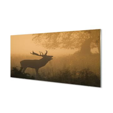 tulup.si Slika na akrilnem steklu Deer sunrise 4 obešalnika