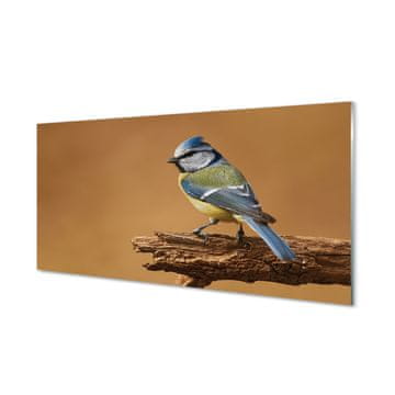 tulup.si Slika na akrilnem steklu Bird 4 obešalnika