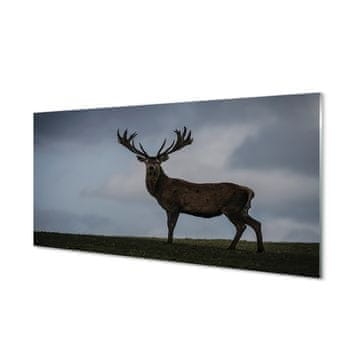 tulup.si Stenska plošča za kuhinjo Jelen noč