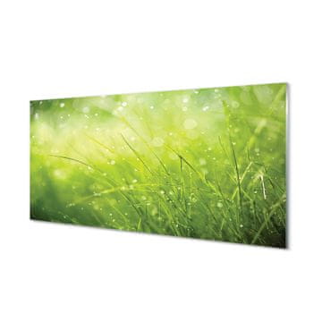 tulup.si Slika na akrilnem steklu Grass rosišča kapljic 2 obešalnika