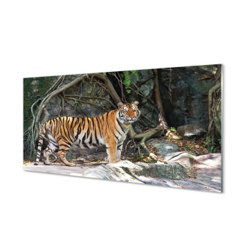 tulup.si Steklena slika Tiger jungle 2 obešalnika