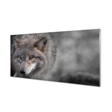 tulup.si Steklena slika Wolf 2 obešalnika