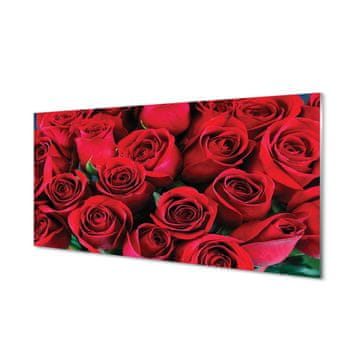 tulup.si Slika na steklu Roses 2 obešalnika