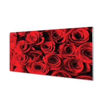 tulup.si Slika na steklu Roses 4 obešalnika
