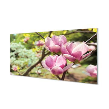 tulup.si Slika na akrilnem steklu Magnolija drevo 2 obešalnika