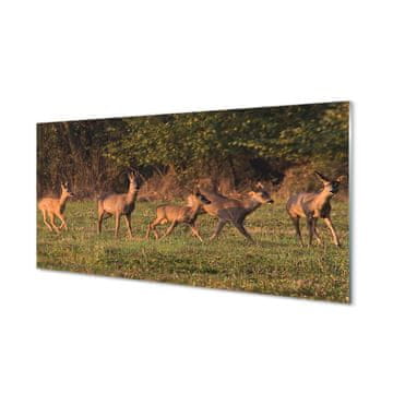tulup.si Slika na akrilnem steklu Deer golf sunrise 2 obešalnika