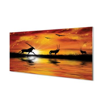 tulup.si Slika na akrilnem steklu Ptice jezero zahod 4 obešalnika