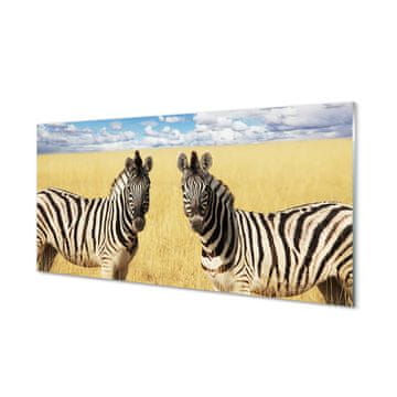 tulup.si Slika na akrilnem steklu Zebra polje 2 obešalnika