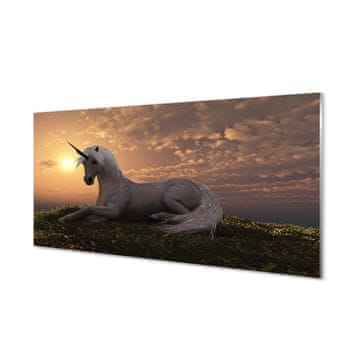 tulup.si Slika na akrilnem steklu Unicorn gora sunset 2 obešalnika