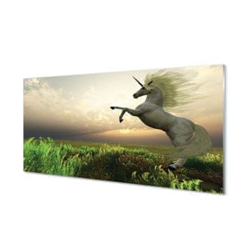 tulup.si Slika na akrilnem steklu Unicorn golf 2 obešalnika