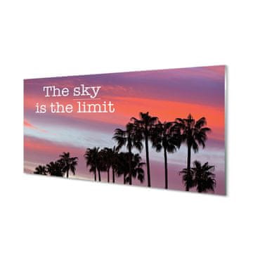 tulup.si Slika na akrilnem steklu Palm sunset 4 obešalnika