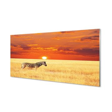 tulup.si Slika na akrilnem steklu Zebra polje sunset 4 obešalnika