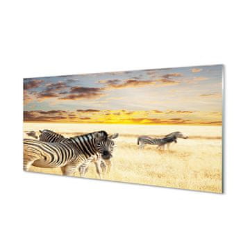 tulup.si Slika na akrilnem steklu Zebre polje sunset 4 obešalnika
