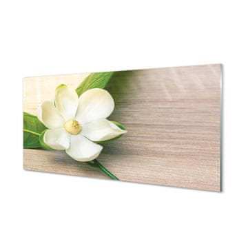 tulup.si Slika na akrilnem steklu Bele magnolije 4 obešalnika