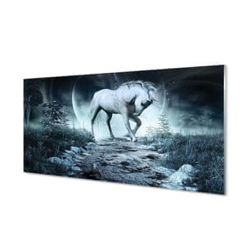 tulup.si Slika na akrilnem steklu Forest unicorn luna 4 obešalnika