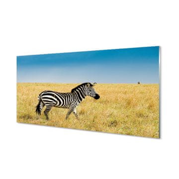 tulup.si Slika na akrilnem steklu Zebra polje 4 obešalnika