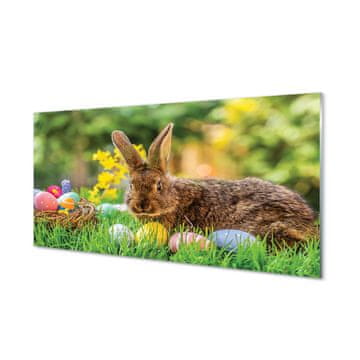 tulup.si Slika na akrilnem steklu Rabbit jajca travnik 2 obešalnika