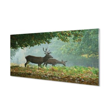 tulup.si Slika na akrilnem steklu Deer jesenski gozd 2 obešalnika