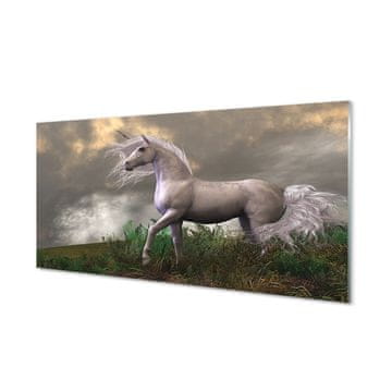 tulup.si Slika na akrilnem steklu Unicorn oblaki 4 obešalnika