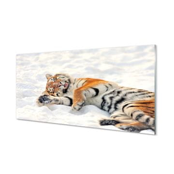 tulup.si Slika na akrilnem steklu Tiger zima 4 obešalnika