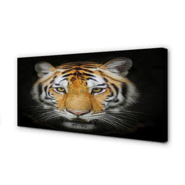 tulup.si Slika na platnu Tiger
