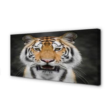 tulup.si Slika na platnu Tiger