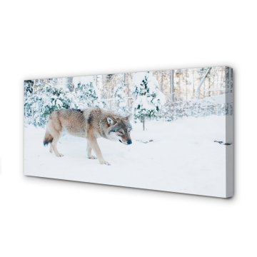 tulup.si Slika na platnu Wolf zimski gozd
