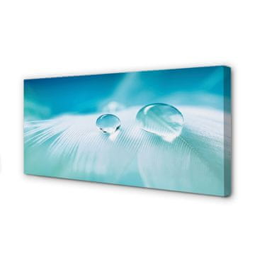 tulup.si Slika na platnu Voda pade makro