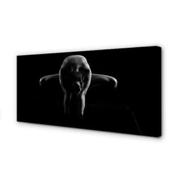 tulup.si Slika na platnu Ženski črno-belo