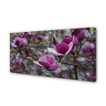 tulup.si Slika na platnu Vijolična magnolija