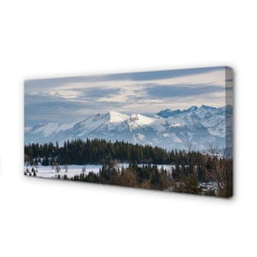 tulup.si Slika na platnu Mountain pozimi
