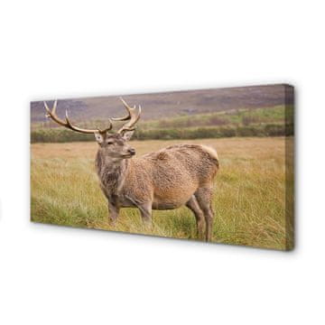 tulup.si Slika na platnu Terenske jelen