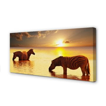 tulup.si Slika na platnu Zebras voda sončni zahod