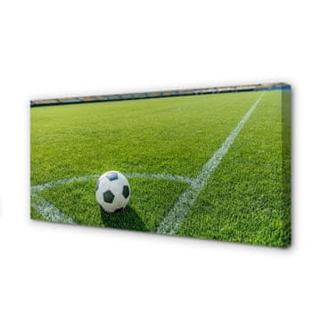 tulup.si Slika na platnu Nogometni stadion trava