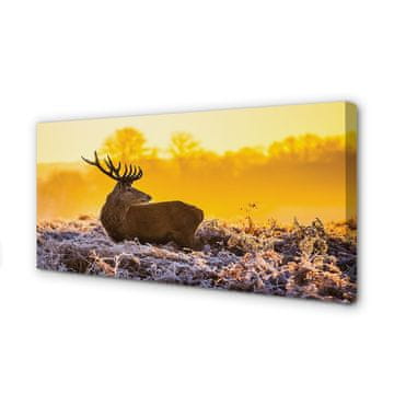 tulup.si Slika na platnu Deer zimski sončni vzhod