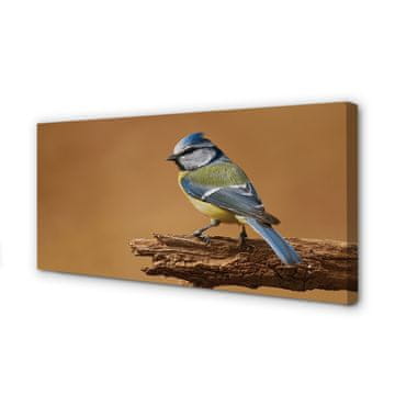 tulup.si Slika na platnu Bird