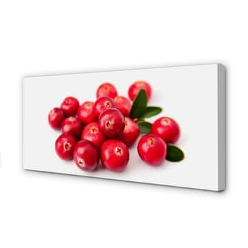 tulup.si Slika na platnu Avokado