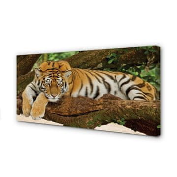tulup.si Slika na platnu Tiger drevo