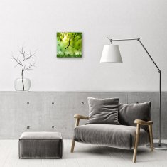 tulup.si Steklena kvadratna ura Spring 30x30 cm Črne kazalke