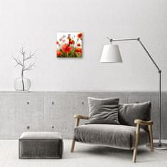 tulup.si Steklena kvadratna ura Maki 30x30 cm Črne kazalke
