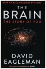 David Eagleman - Brain