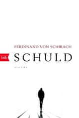 Ferdinand von Schirach - Schuld
